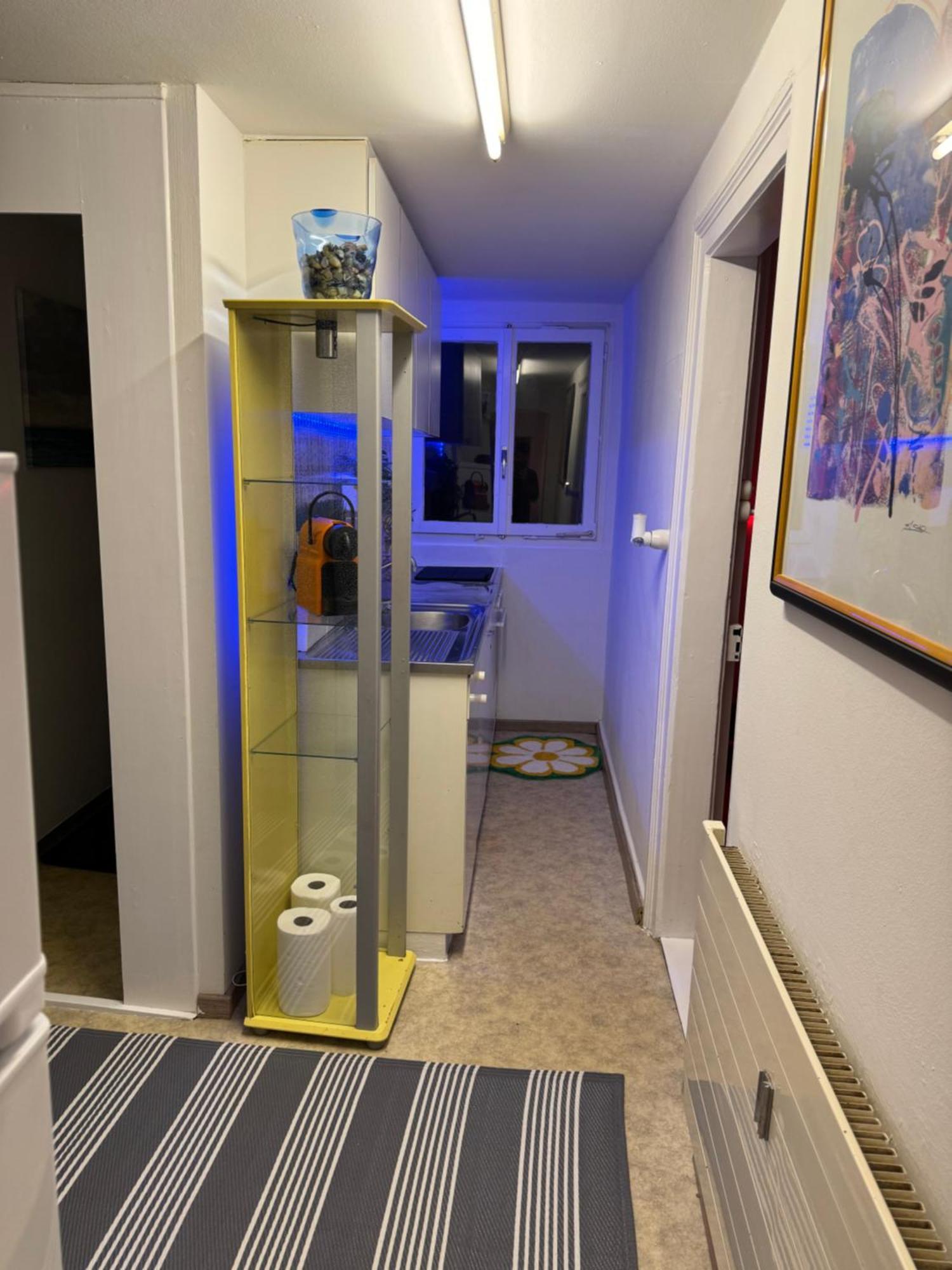 Nice Apartment サンクト・ガーレン エクステリア 写真